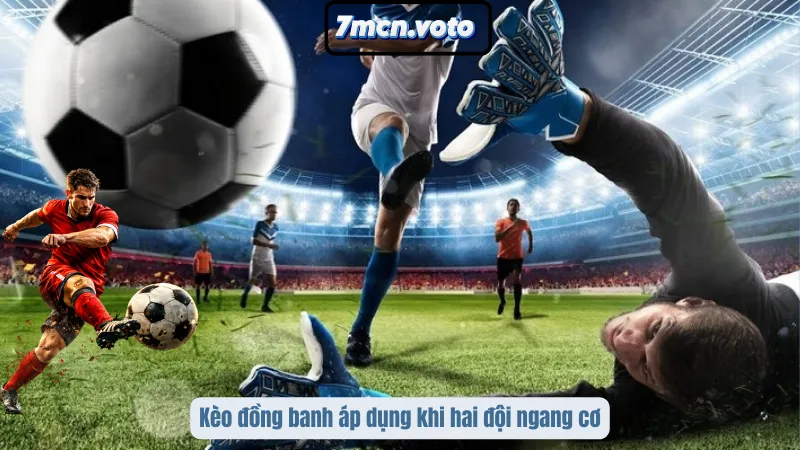 Kèo Châu Á – Nghệ Thuật Đọc Vị Sức Mạnh Đội Bóng Tại 7MCN 2 Kèo đồng banh áp dụng khi hai đội ngang cơ