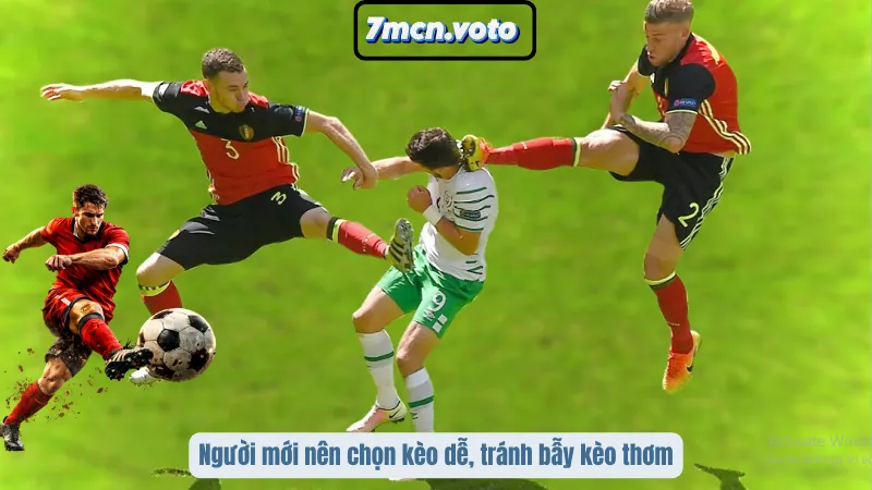 Kèo Bóng Dễ Chơi Cho Người Mới – Lựa Chọn Thông Minh Tránh Thua Lỗ Sớm 1 Người mới nên chọn kèo dễ, tránh bẫy kèo thơm